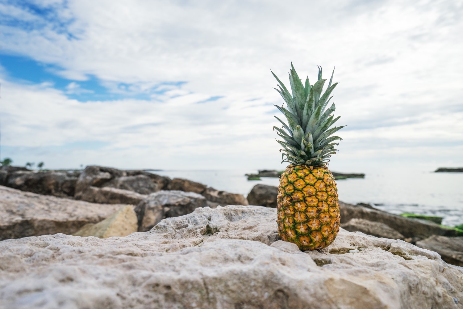 pineapple-on-the-rocks
