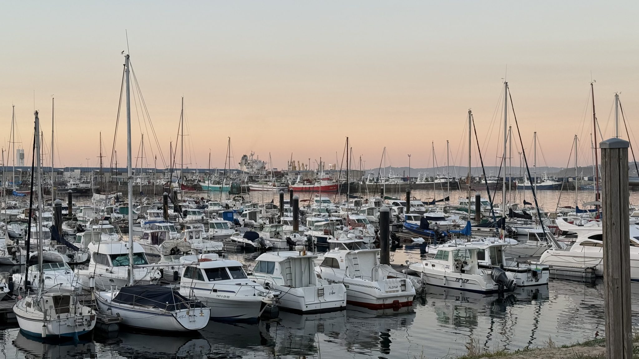 Marina full of sailboats and small yachts moored very close together under a soft pastel-toned sunset sky.