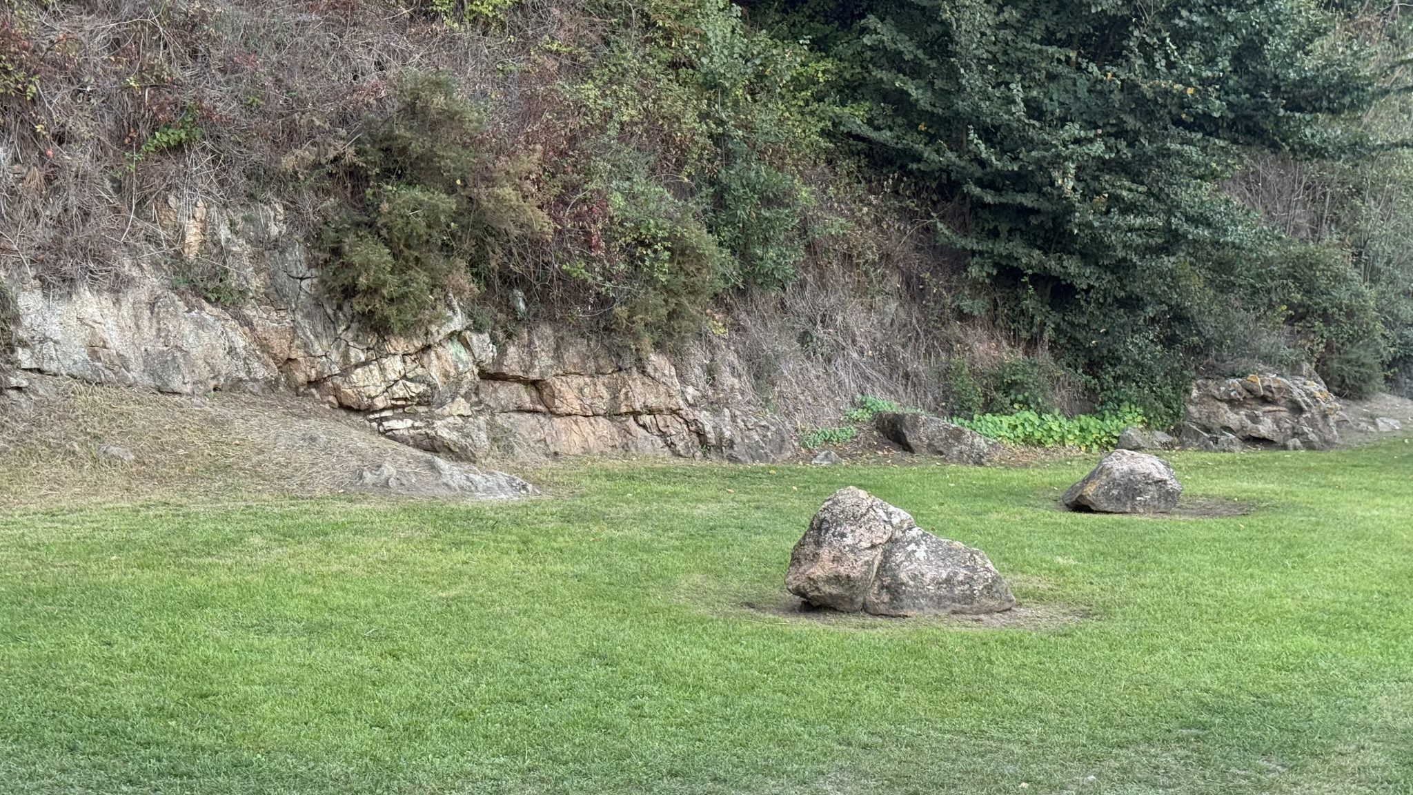 Green grassy area with two large isolated boulders sitting in front of a steep, overgrown rocky hillside.