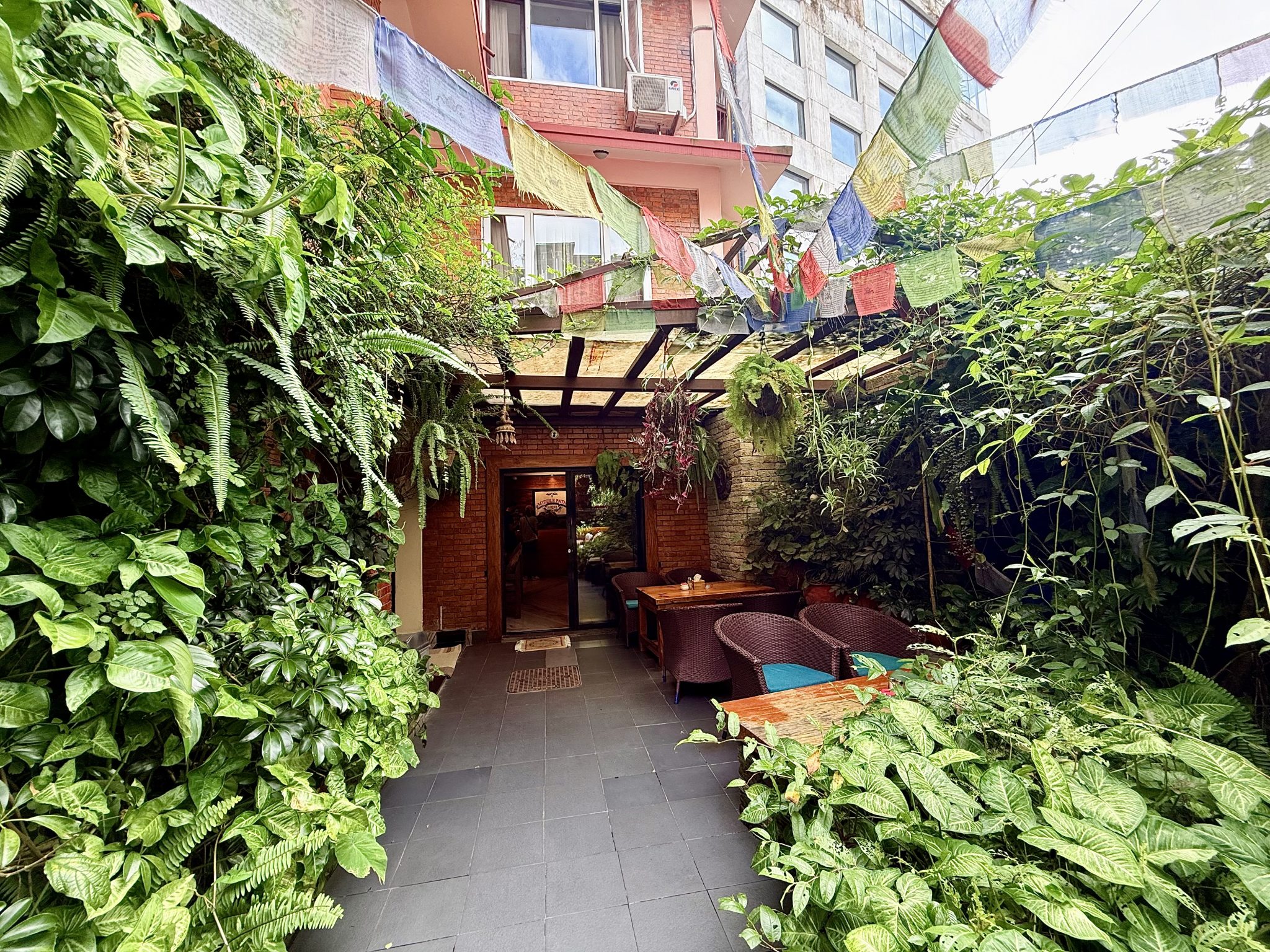 An inviting outdoor space is surrounded by lush greenery, featuring a variety of plants and vines with varying textures and shades of green. The area has a stone pathway leading through the greenery, with two cozy wicker chairs paired with wooden tables
